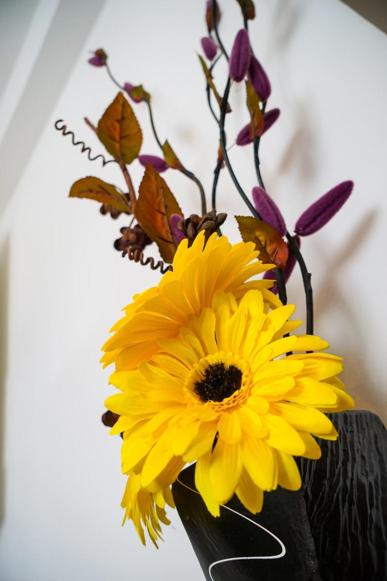 Floral Apartment Ζαντάρ Εξωτερικό φωτογραφία